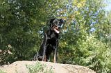 BEAUCERON 190